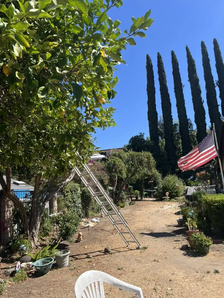 Top-rated lawn mowing service for residential properties across Santa Clarita, CA - Tree Service and Landscaping