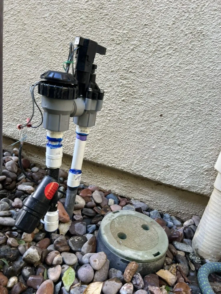 Top-rated residential landscaping for beautiful yards in Santa Clarita, CA by Tree Service and Landscaping