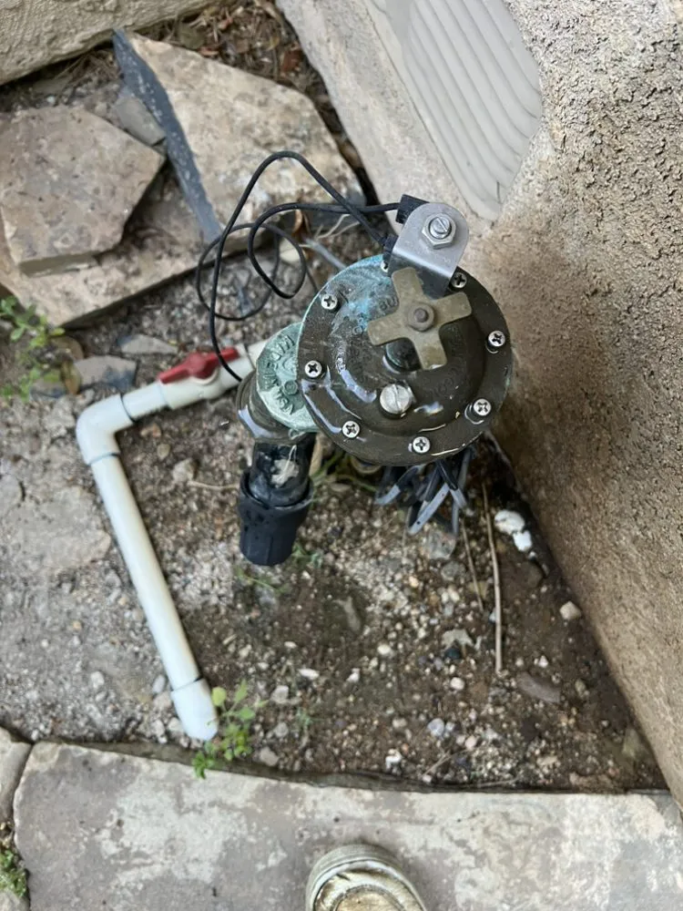 Expert yard maintenance for beautiful yards across Santa Clarita, CA - Tree Service and Landscaping