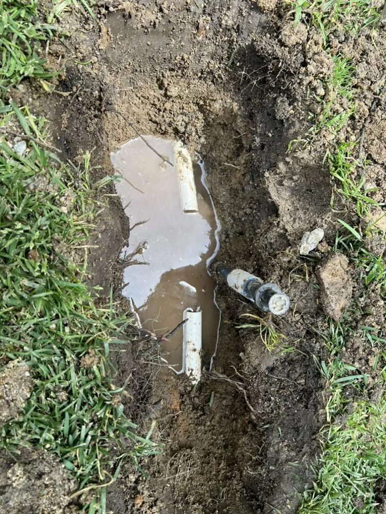 Custom residential landscaping in Santa Clarita, CA - Tree Service and Landscaping