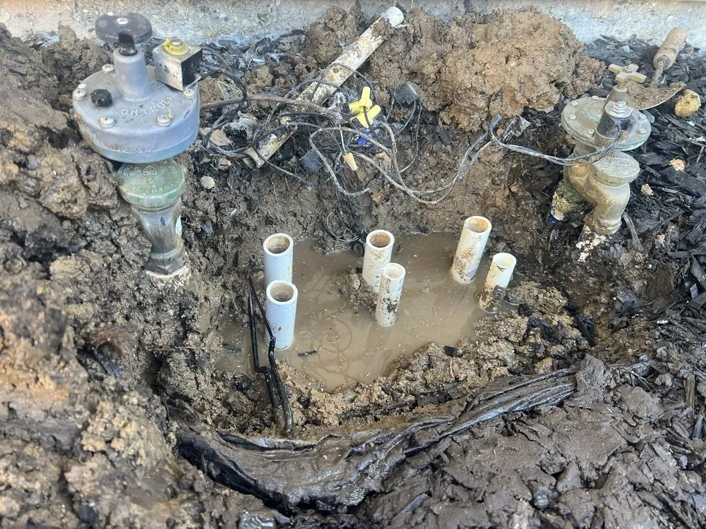 Professional yard cleanup service in Santa Clarita, CA by Tree Service and Landscaping