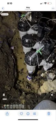 Tree Service and Landscaping Logo