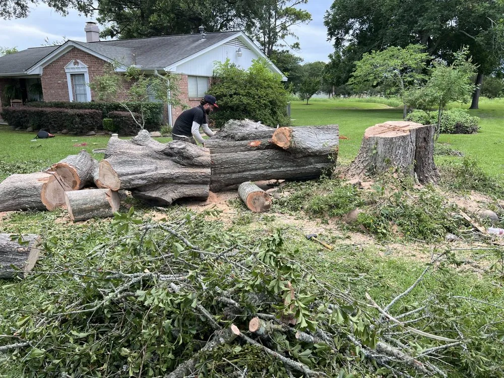 Professional landscape installation in Baytown, TX - Tree service