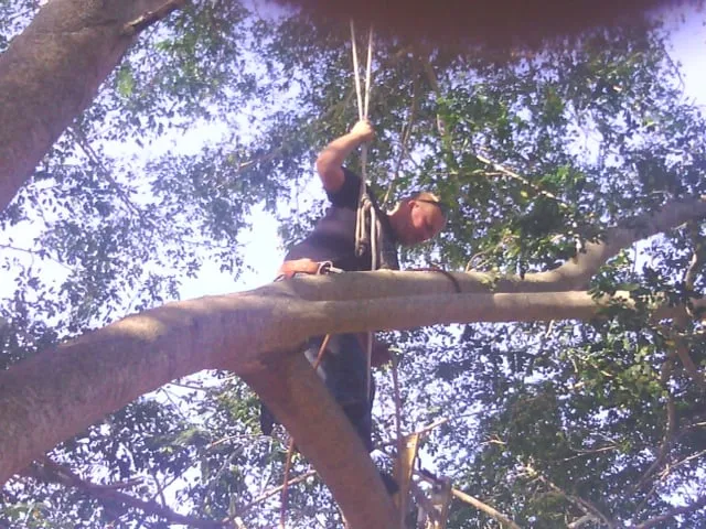 Professional lawn care service for year-round maintenance in North Fort Myers, FL by Tree Service By Chris