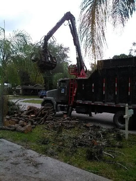 Affordable landscape installation with custom design across North Fort Myers, FL - Tree Service By Chris