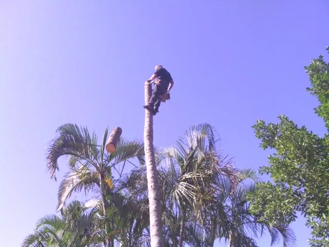 Trusted landscape installation in North Fort Myers, FL by Tree Service By Chris