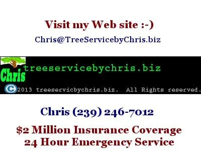 Professional yard maintenance near you in North Fort Myers, FL by Tree Service By Chris