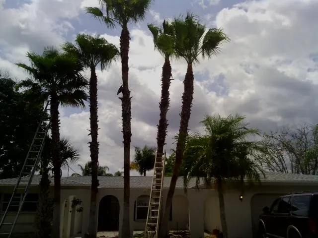 Reliable lawn care service with custom design across North Fort Myers, FL - Tree Service By Chris