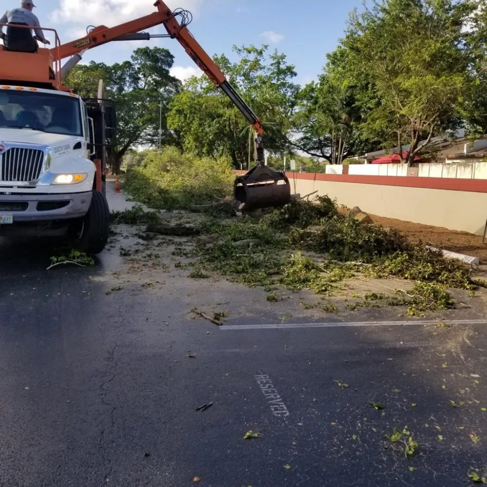 Local landscape design in Miami, FL by Tree Service Corporation