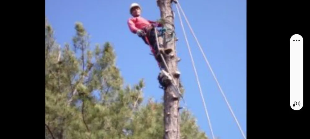 Expert residential landscaping for homes across Miami, FL - Tree Service Corporation