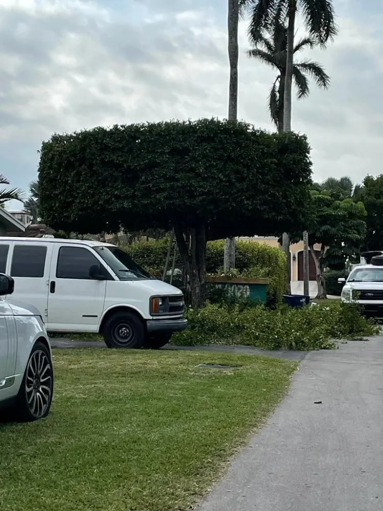 Top-rated landscape design for beautiful yards across Miami, FL - Tree Service Corporation