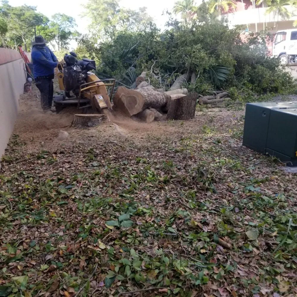 Custom landscaping services for outdoor upgrades across Miami, FL - Tree Service Corporation