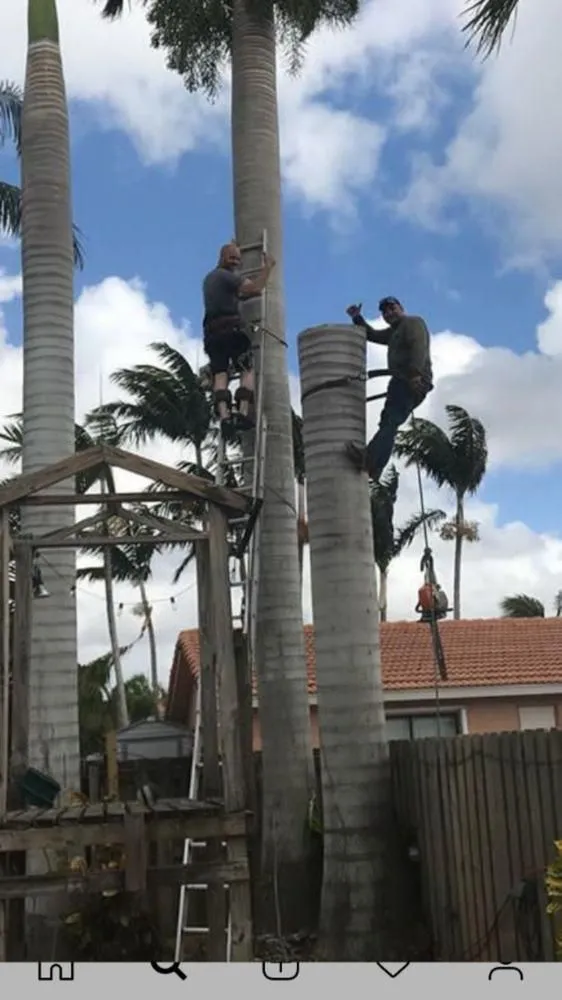 Local outdoor landscaping in Miami, FL - Tree Service Corporation