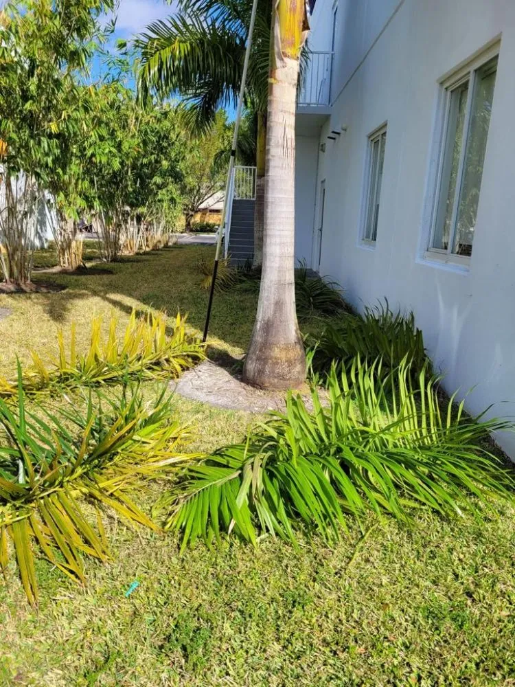 Expert garden landscaping for year-round maintenance in Miami, FL by Tree Service Corporation