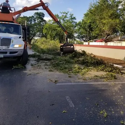 Tree Service Corporation Logo