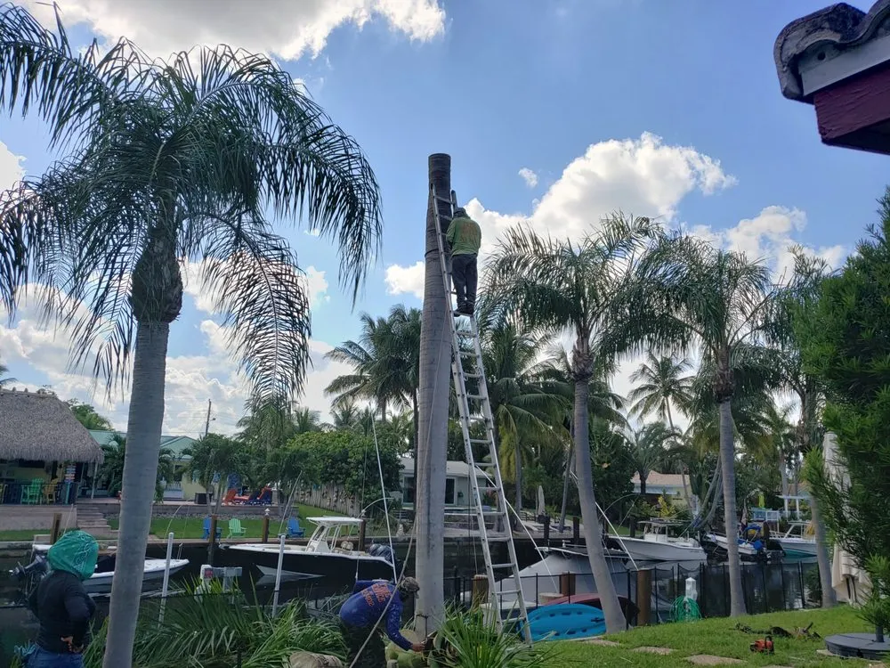 Trusted garden landscaping for outdoor upgrades across West Palm Beach, FL - Tree Service Experts
