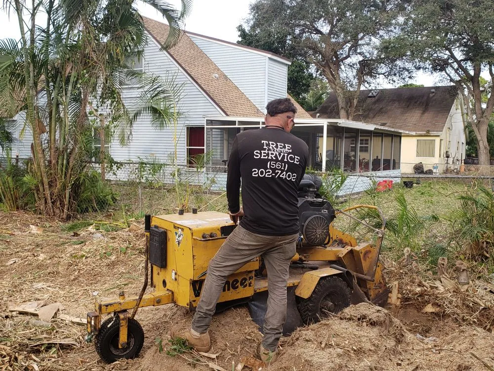 Local landscape installation in West Palm Beach, FL by Tree Service Experts