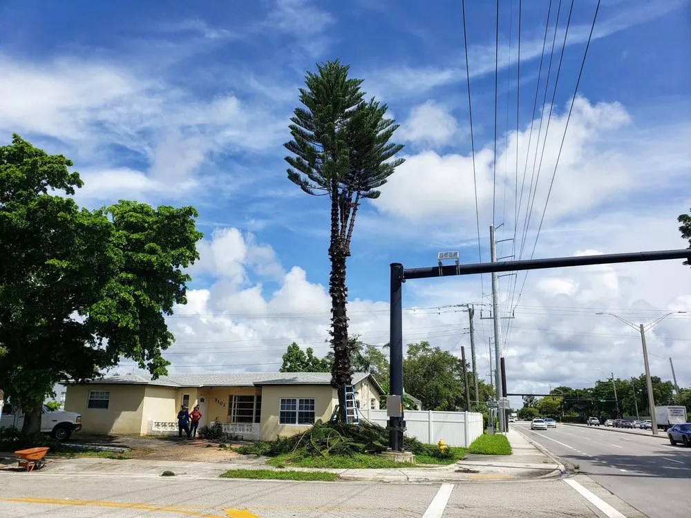 Top-rated garden landscaping for year-round maintenance across West Palm Beach, FL - Tree Service Experts