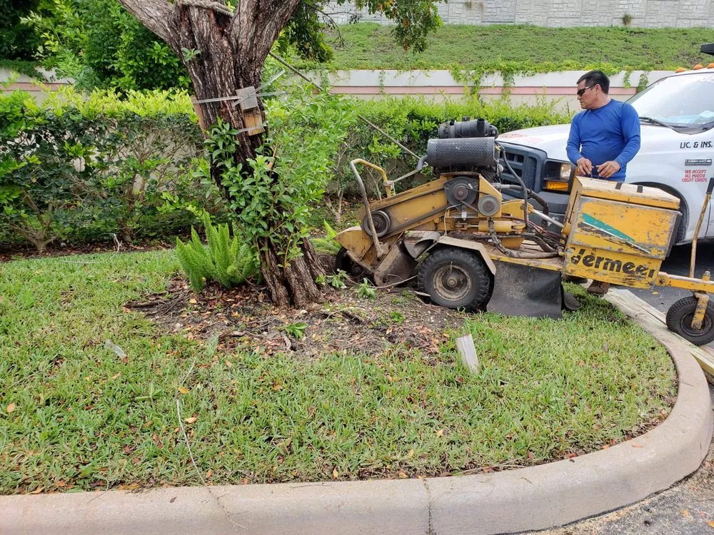 Local landscaping services near you in West Palm Beach, FL by Tree Service Experts