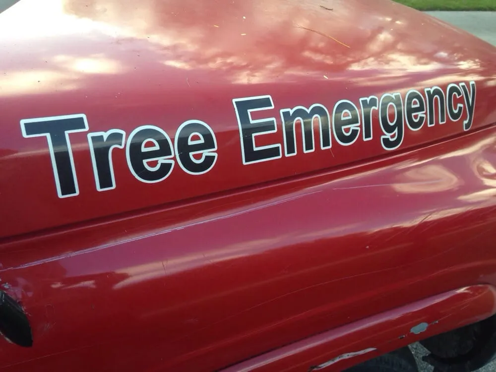 Top-rated landscape design for outdoor upgrades in West Palm Beach, FL by Tree Service Experts