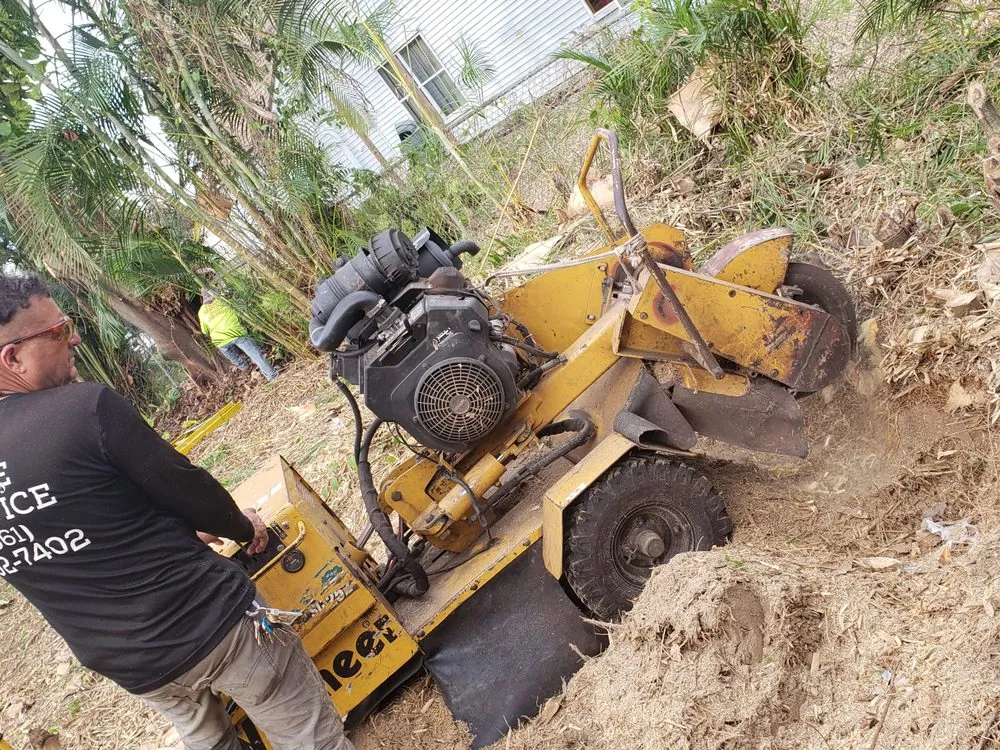 Professional landscaping services experts serving West Palm Beach, FL - Tree Service Experts