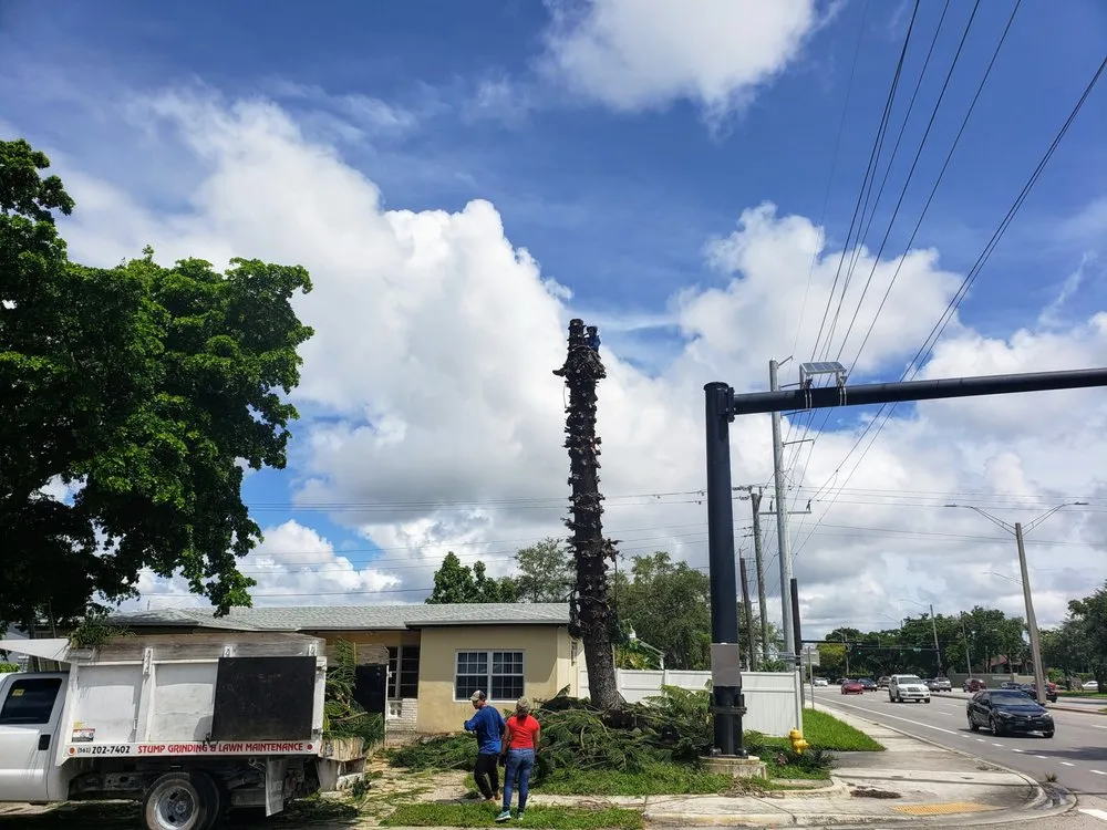 Expert landscaping services experts serving West Palm Beach, FL - Tree Service Experts