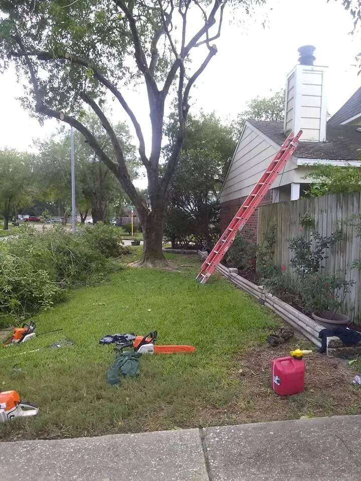 Top-rated lawn mowing service for residential properties across Houston, TX - Tree Service Houston Fantastic