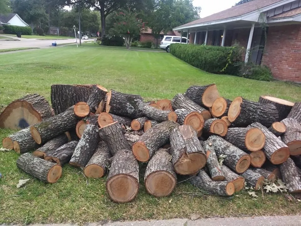 Top-rated lawn mowing service for residential properties across Houston, TX - Tree Service Houston Fantastic