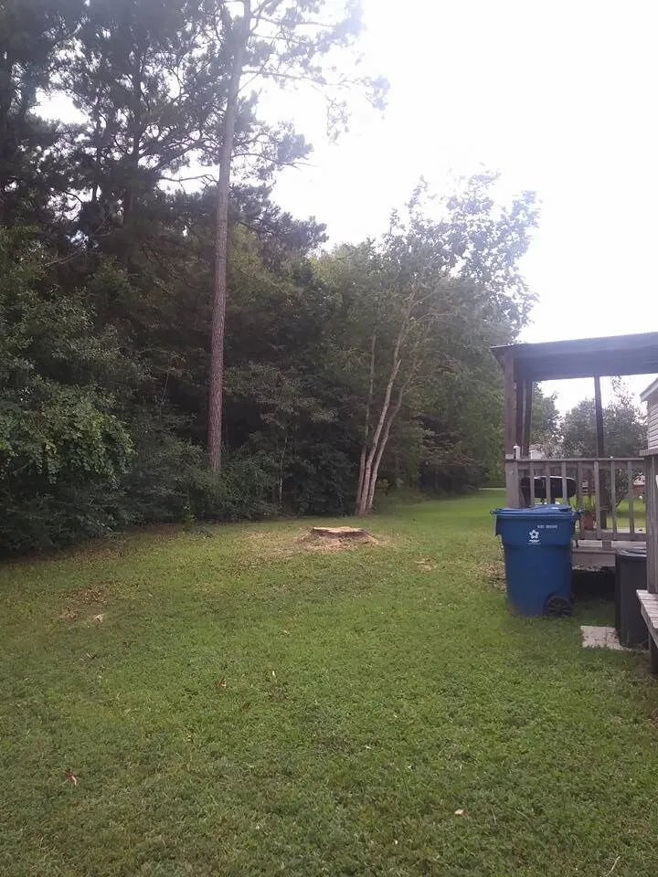 Top-rated yard maintenance in Houston, TX by Tree Service Houston Fantastic