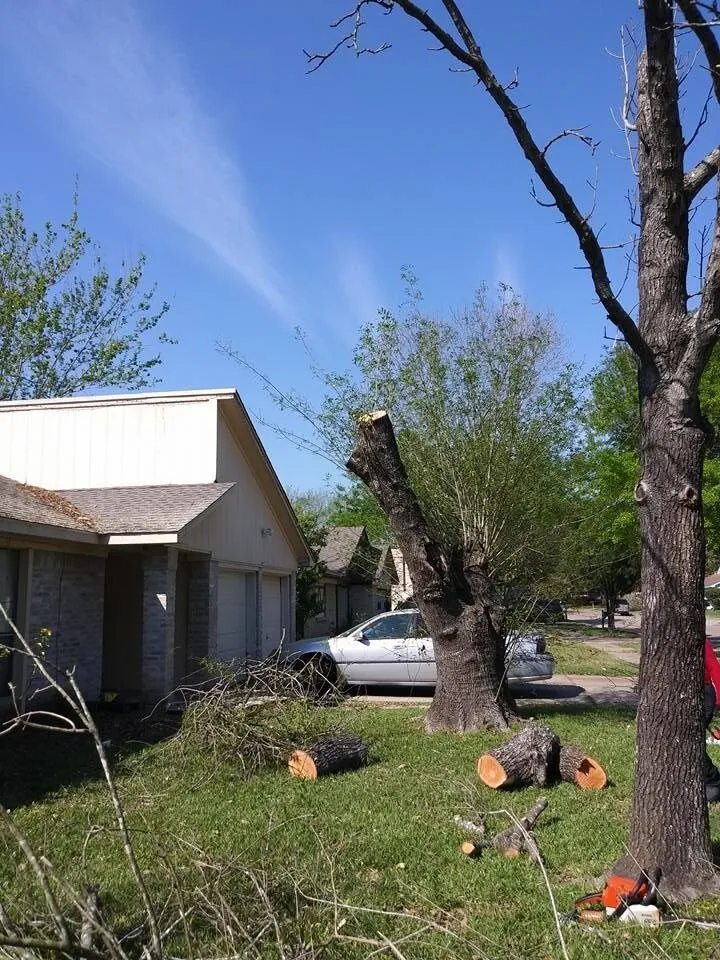 Expert garden landscaping in Houston, TX by Tree Service Houston Fantastic