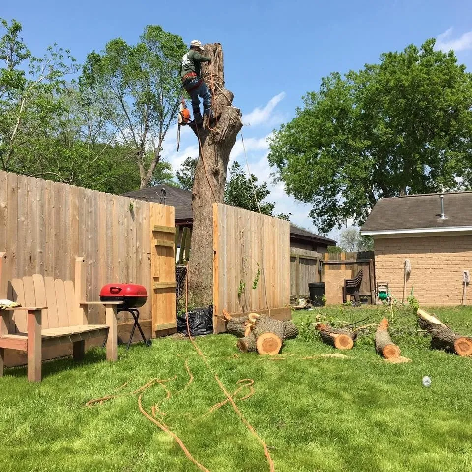 Affordable garden landscaping for year-round maintenance in Houston, TX by Tree Service Houston Fantastic