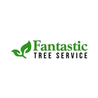 Local lawn mowing service in Houston, TX - Tree Service Houston Fantastic
