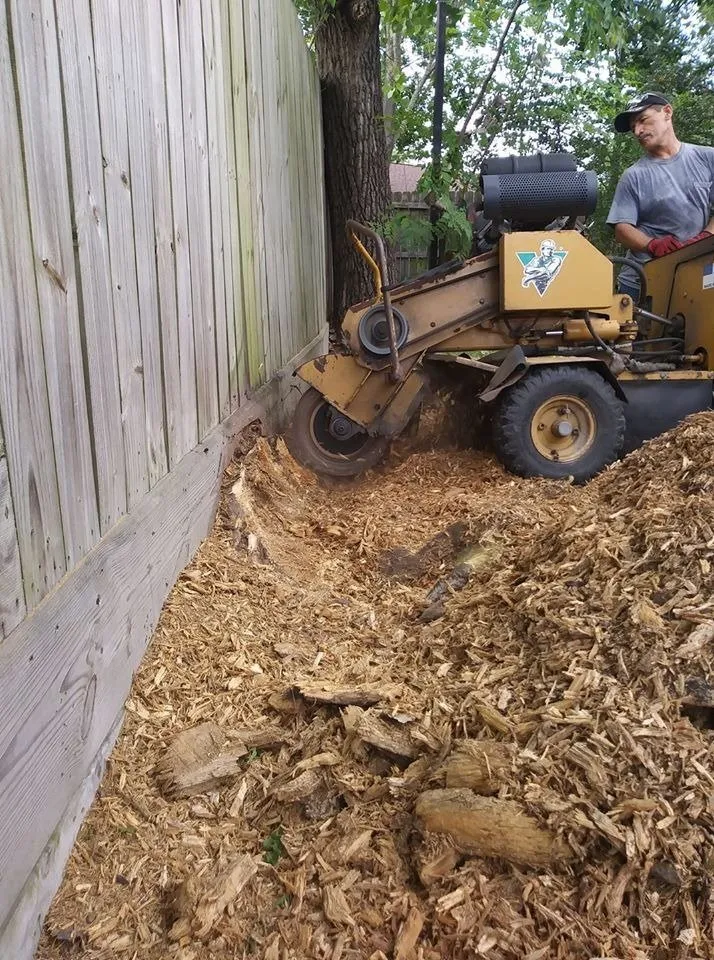 Top-rated residential landscaping experts serving Houston, TX - Tree Service Houston Fantastic