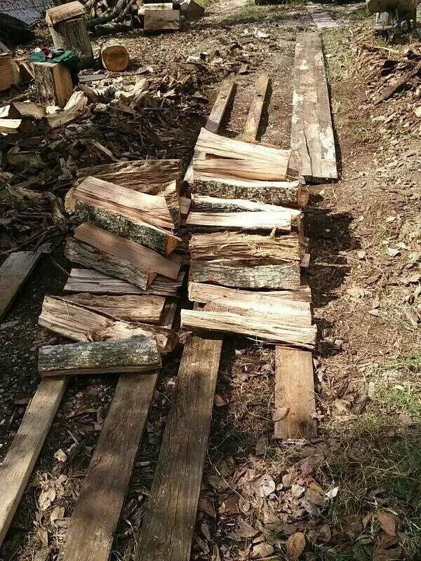 Trusted yard maintenance in Houston, TX by Tree Service Houston Fantastic