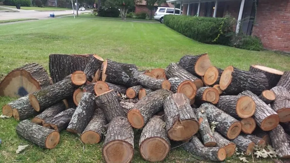 Professional residential landscaping for outdoor upgrades in Houston, TX by Tree Service Houston Fantastic