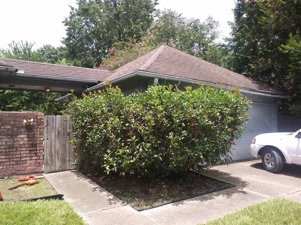 Trusted landscape design with custom design in Houston, TX by Tree Service Houston Fantastic