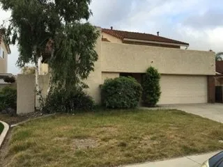 Top-rated yard cleanup service in Laguna Niguel, CA - Tree Service Laguna Niguel