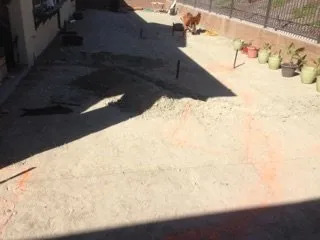 Local landscape design in Laguna Niguel, CA by Tree Service Laguna Niguel