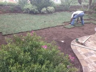 Top-rated outdoor landscaping for beautiful yards in Laguna Niguel, CA by Tree Service Laguna Niguel