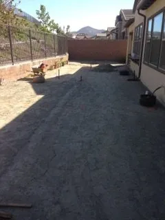 Professional yard cleanup service experts serving Laguna Niguel, CA - Tree Service Laguna Niguel