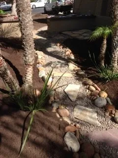 Professional garden landscaping in Laguna Niguel, CA by Tree Service Laguna Niguel