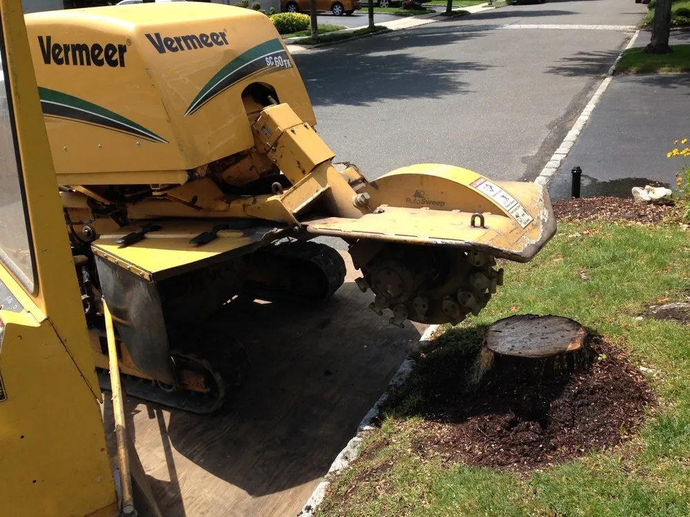 Expert garden landscaping experts serving Glen Cove, NY - Tree Service Nassau NY