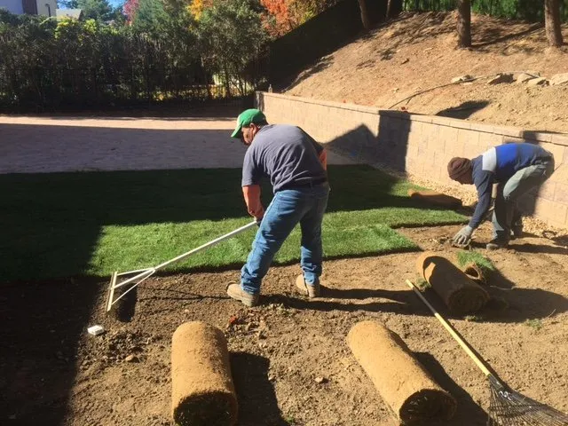 Trusted residential landscaping for beautiful yards across Glen Cove, NY - Tree Service Nassau NY