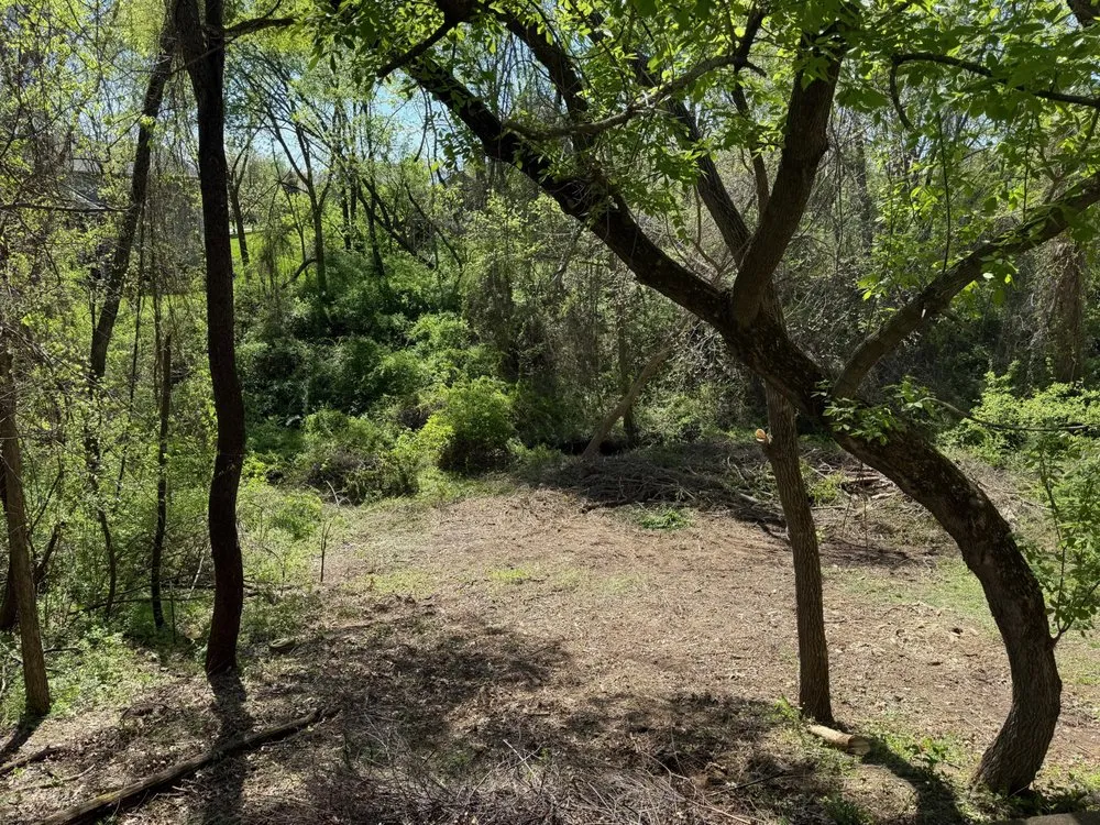 Professional landscaping services in North Liberty, IA by Tree Service of North Liberty