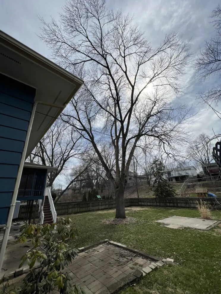 Custom residential landscaping for outdoor upgrades in North Liberty, IA by Tree Service of North Liberty