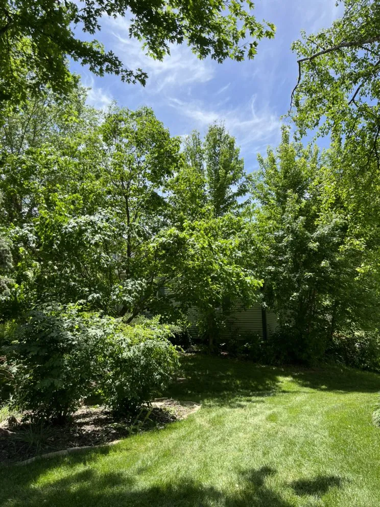 Affordable landscape installation near you across North Liberty, IA - Tree Service of North Liberty