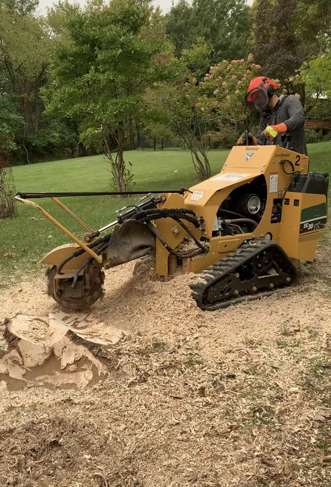 Top-rated residential landscaping in North Liberty, IA - Tree Service of North Liberty
