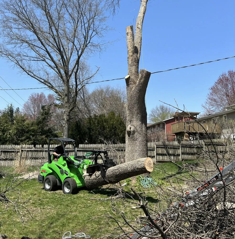 Professional lawn mowing service in North Liberty, IA - Tree Service of North Liberty
