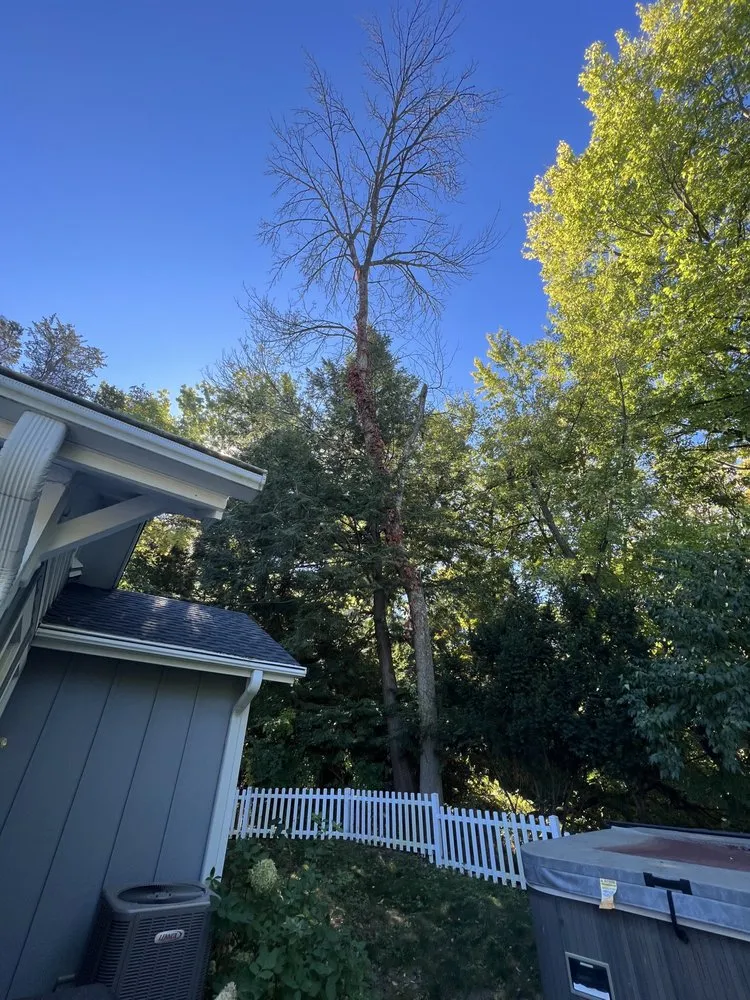 Expert residential landscaping in North Liberty, IA - Tree Service of North Liberty