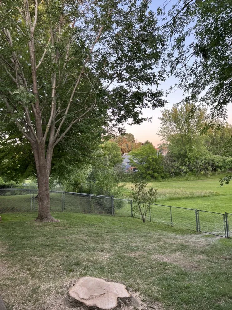 Custom lawn care service experts serving North Liberty, IA - Tree Service of North Liberty